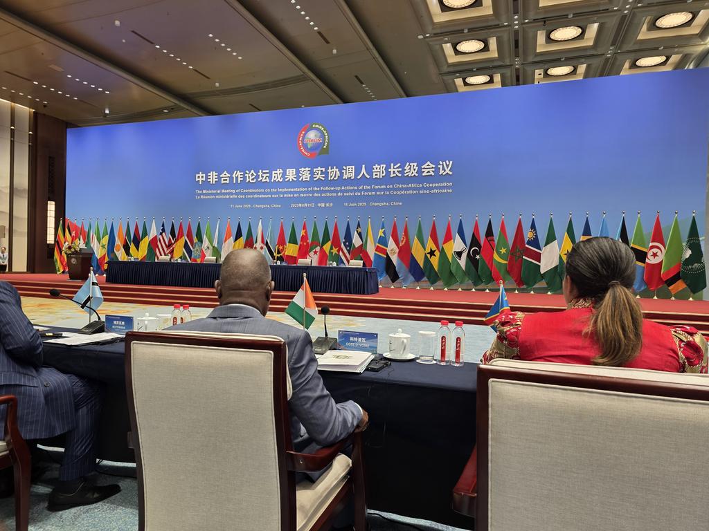 You are currently viewing La Chine renforce ses liens économiques avec l’Afrique à travers une exposition d’envergure à Changsha