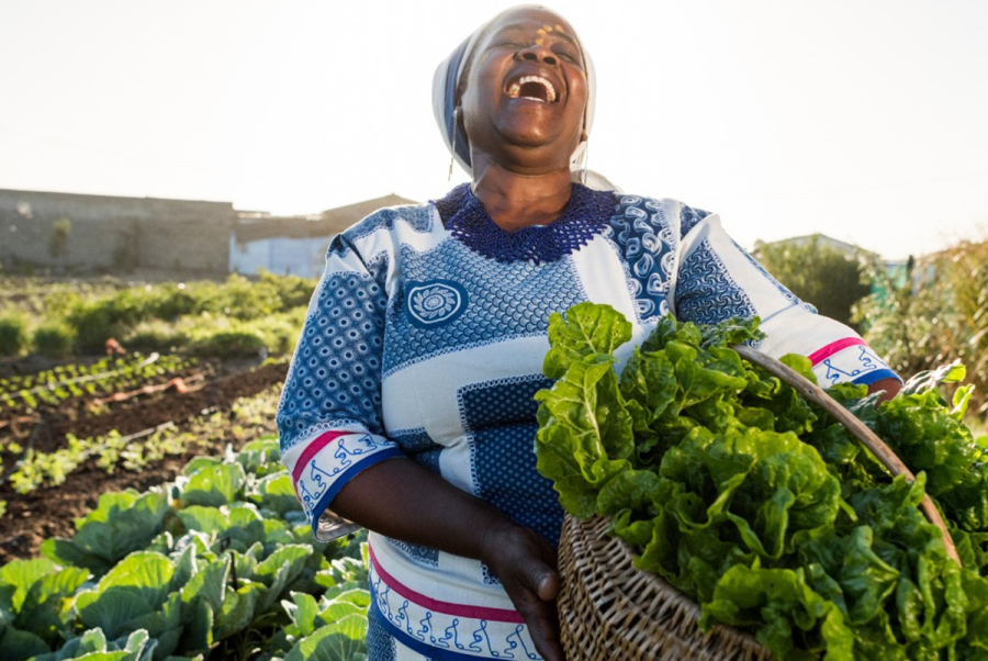 You are currently viewing MazaoHub : 2 millions de dollars pour transformer l’agriculture africaine