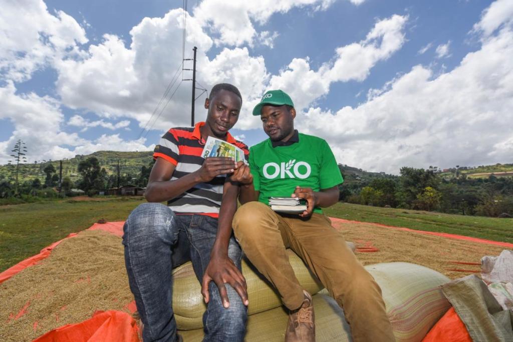 You are currently viewing OKO lève des fonds pour protéger les agriculteurs africains du climat